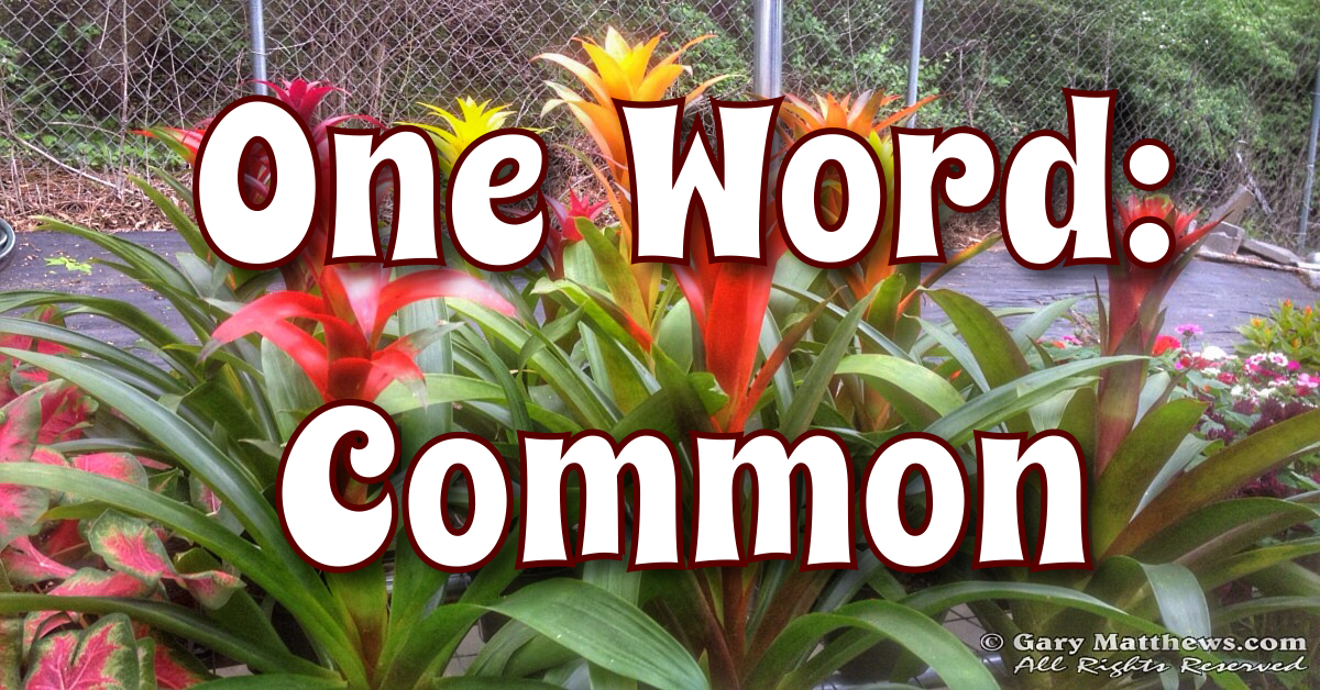 One Word: Common