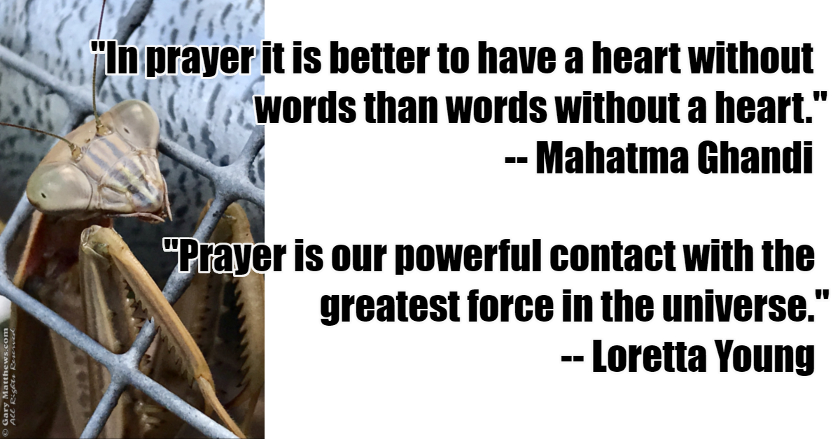 Prayer quotes